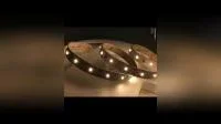 Blanc chaud de haute qualité 3014 60LEDs/M 6W/M 12V LED Strip003